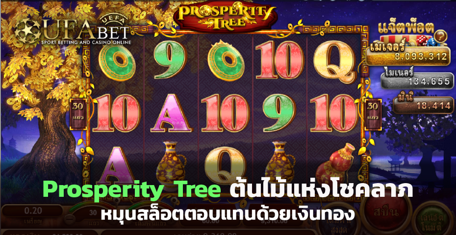 Prosperity Tree ต้นไม้แห่งโชคลาภ หมุน สล็อต ตอบแทนด้วยเงินทอง