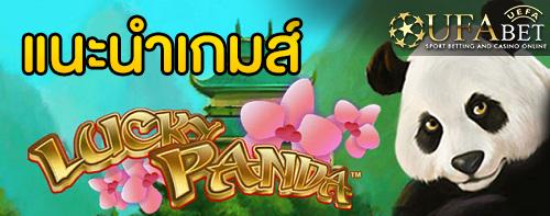 แนะนำเกมส์ Slot - Lucky Panda