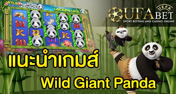 แนะนำเกมส์ สล็อต Slot - Wild Giant Panda