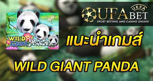 แนะนำเกมส์ สล็อต Slot - Wild Giant Panda